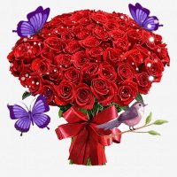 B3829db2b044700c96277a9fb14e1e0d