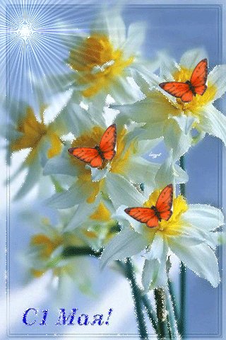 file_46939803