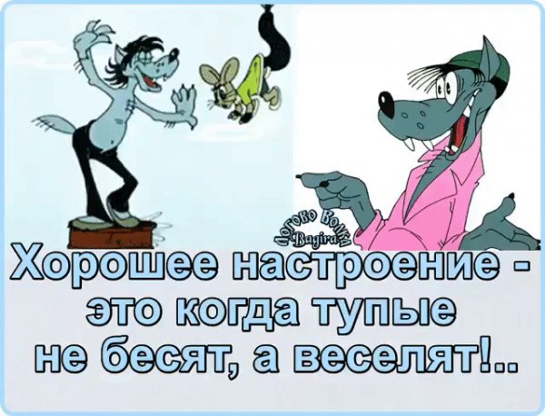 IMG 20221221 115431