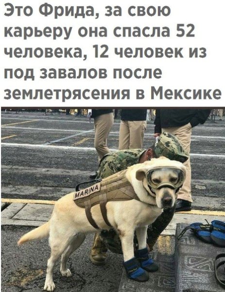 file_75011205