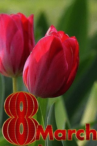 file_92748650