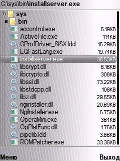 installserver.exe