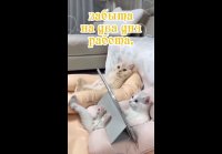 Утро суббота)