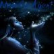 Starlight night splash Agent by Storm