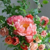 file_77292466