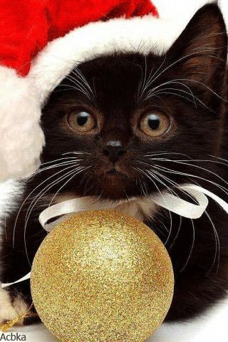 file_79559499