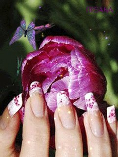 file_51704531