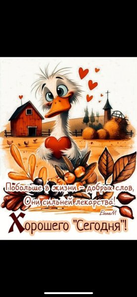 IMG-20241123-WA0002