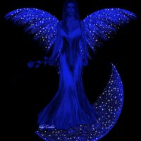 f86ab5affe70b280b5ebba8586df2126