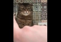 У невропатолога
