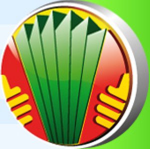 bayanICQ S60 0.17.555520110
