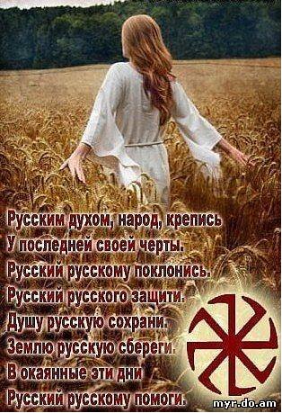 image(24)