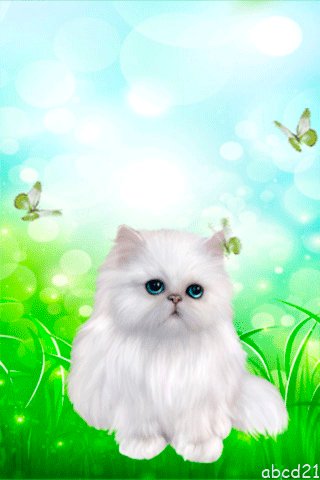 file_59367300
