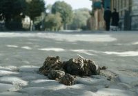 По законам военного времени 4 сезон 3 серия
