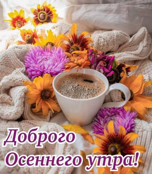 Доброго осеннего утра!