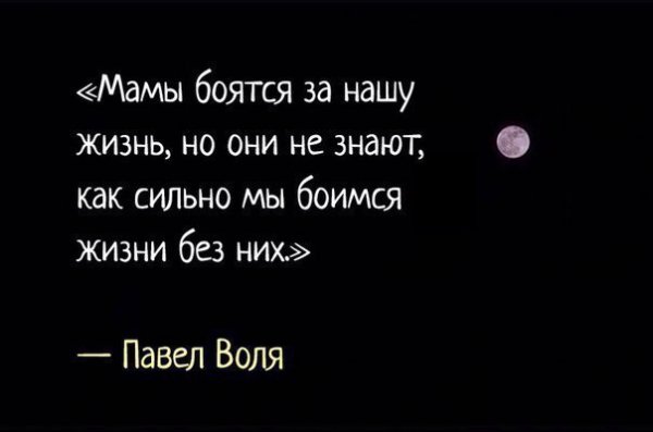 file_75448346