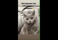VID-20190403-WA0007