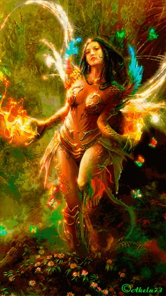 fairy inqlbbin