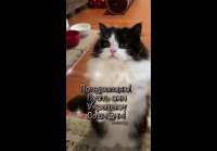 VID-20250808-WA0002