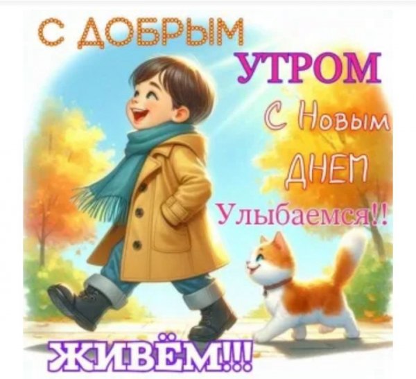 IMG-20241009-WA0007