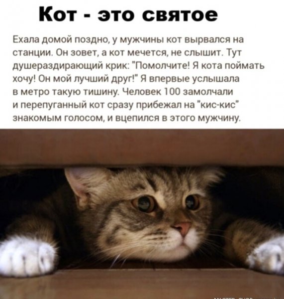 IMG 20211222 170221
