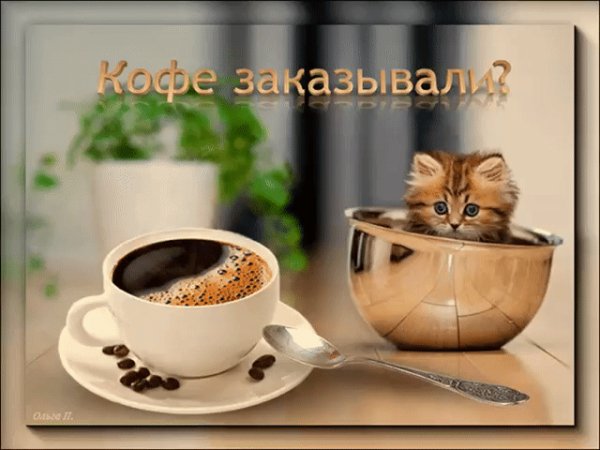 Кофе заказывали
