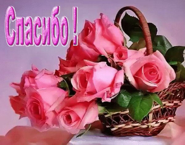 IMG 20200903 094550