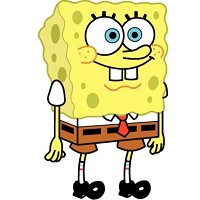 Sponge bob