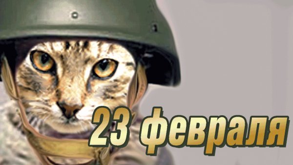 file_76588493