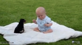 Нападение на детёныша человека