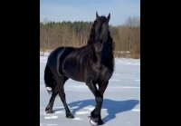 Какой красавчик