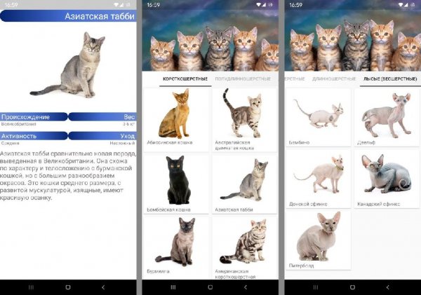 Породы кошек v1.0