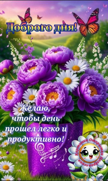 IMG 20250826 044352 249