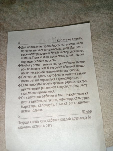 IMG20250828004633