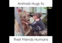 Объятия с животными...