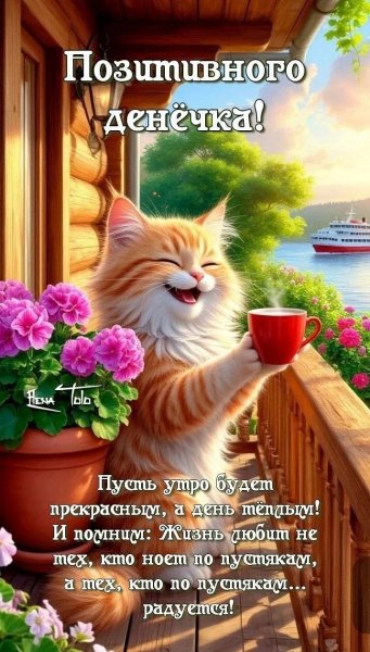IMG 20250801 131954