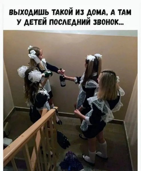 T 83770172312737