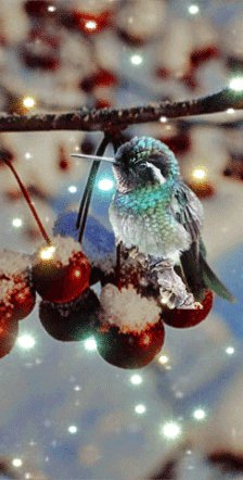 file_95417822