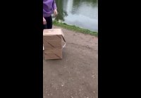 VID-20250605-WA0001