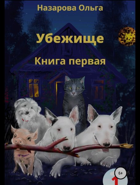 Назарова Ольга. Убежище. Книги 1-7