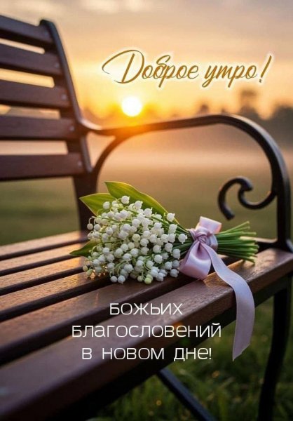 IMG-20250916-WA0005