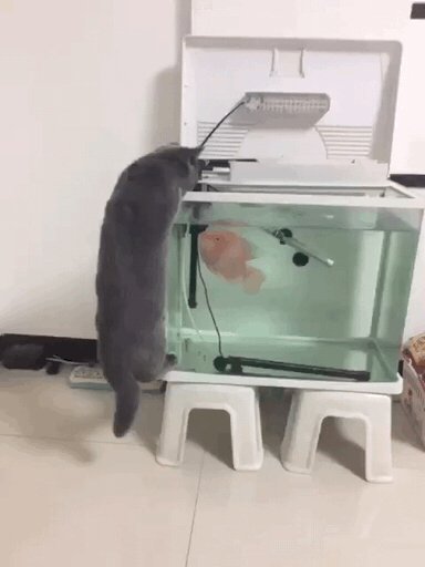 Не лезь съем)