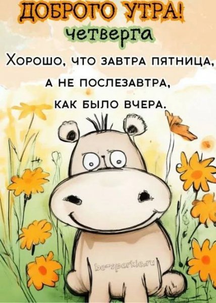 Доброе утро четверга