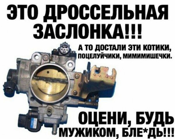 gDv9bmeY