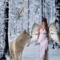Woman Girl GIF - Woman Girl Forest - Discover &amp; Share GIF