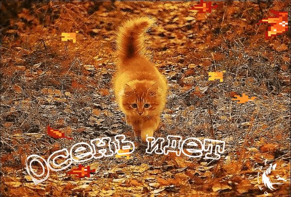 осень