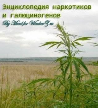 Энциклопедия наркотических средств