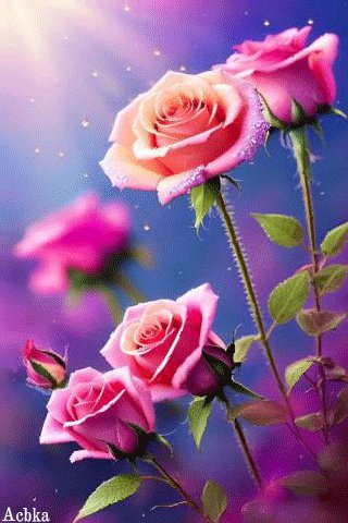 file_95042401
