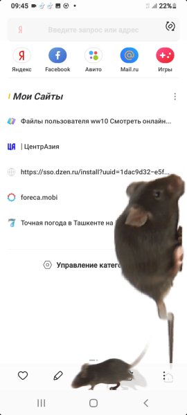 Мышка Экран