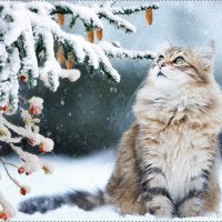 file_65967904